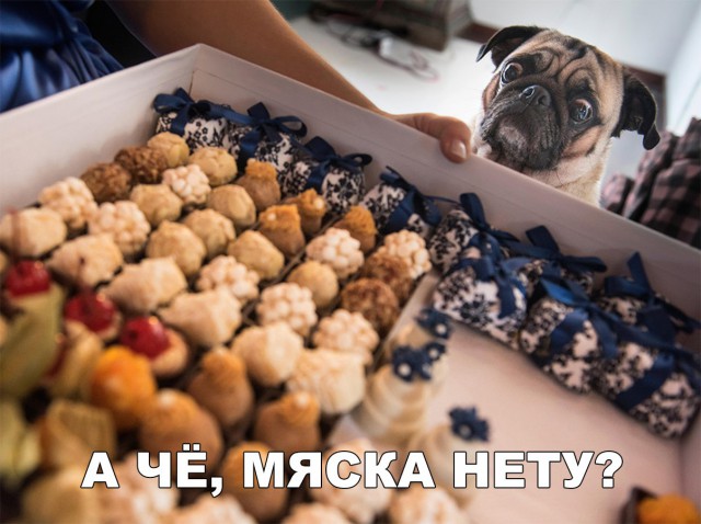 Нестандартный юмор
