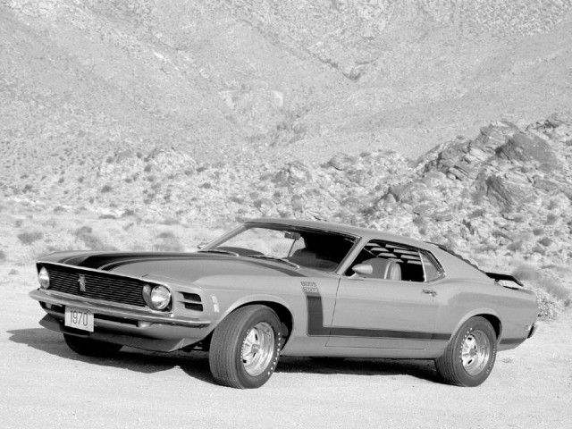 ДР mustang club