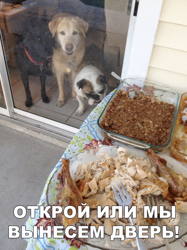 Нестандартный юмор