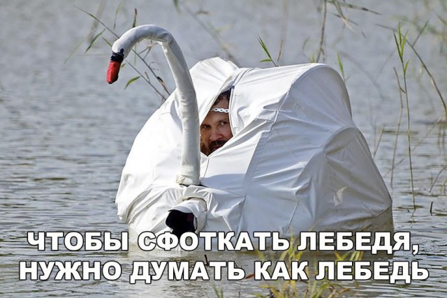 Нестандартный юмор
