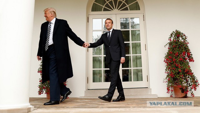 Сажающие дерево Трамп и Макрон превратились в мем