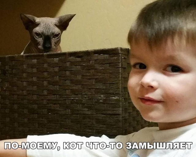Нестандартный юмор
