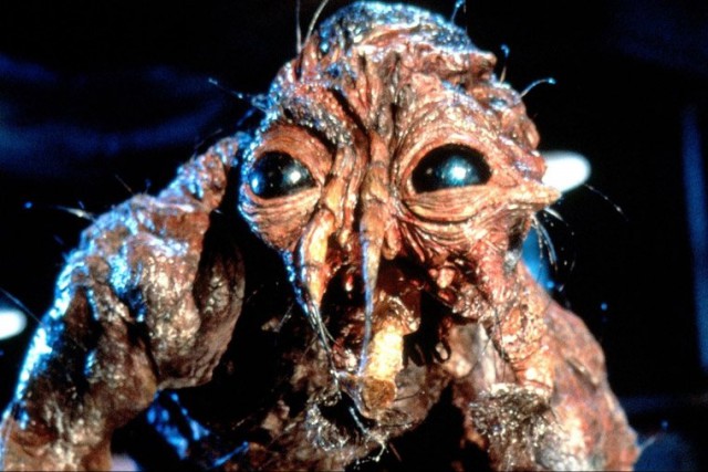 Королева мух