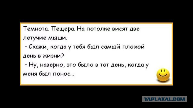 Если вы задавались вопросом "Как мочится летучая мышь"