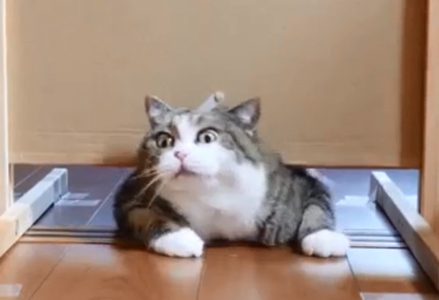 Щелевые испытания