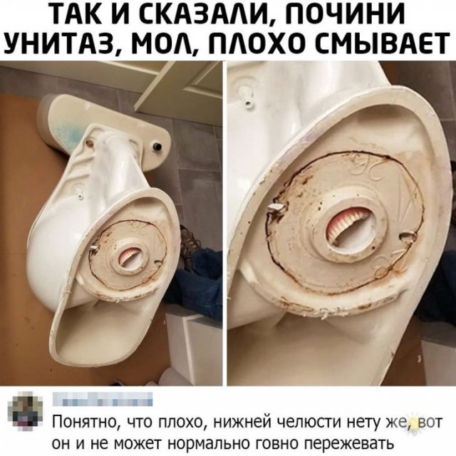 Немного картинок для настроения 14.03.20