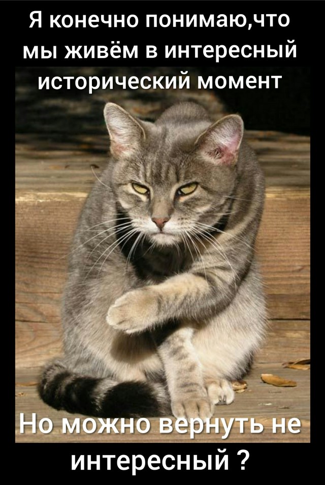 Как мама работает удалённо