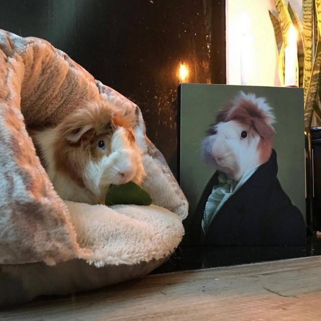 Зверушки