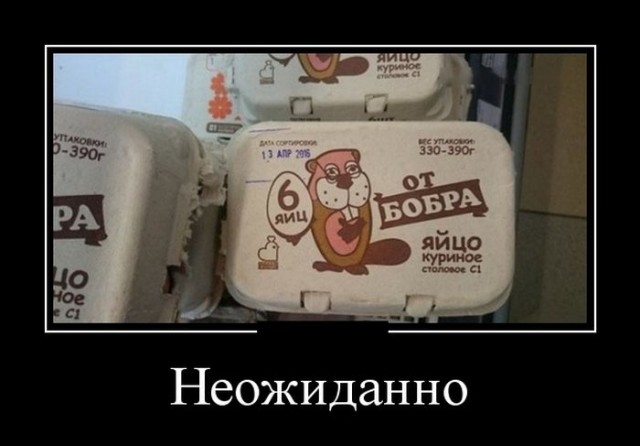 Эй, уважаемый, ну а где же яйца? Терпение, спокойствие, сейчас они появятся
