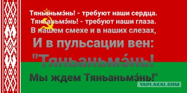 МВД Белоруссии заявило, что готово в ответ применить силу к протестующим