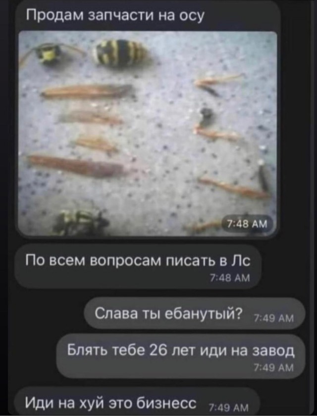 Пятничная подборка разных картинок 15.01.2021