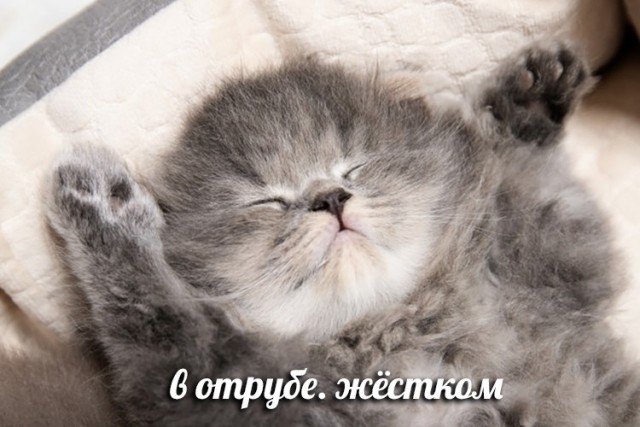Бредзона 28.01.2021