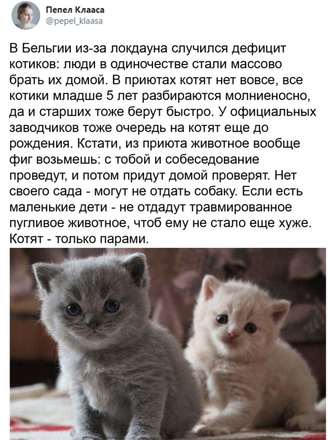 Картинки и мемы для настроения 015