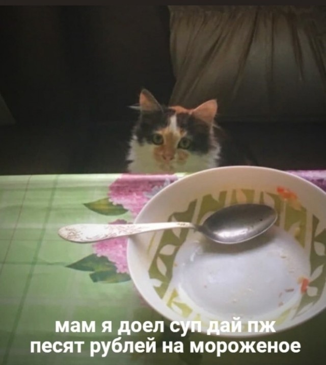 Весёлый полтишок 25.06.