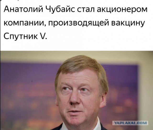 Вакцинация, мать её етить