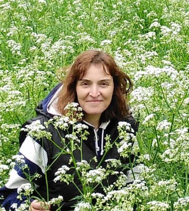 Кажется, я скачал не ту "Красотку"