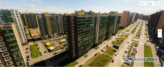 Мурино. Опять летают. Но, теперь уже страшно