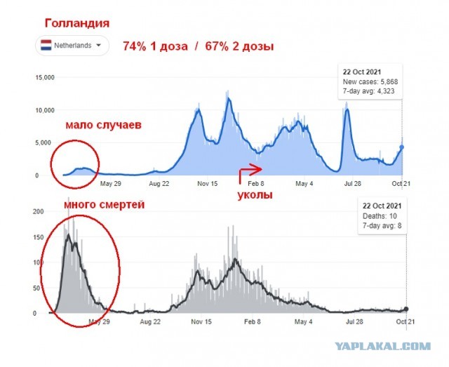 Зомби-апокалипсис 2022