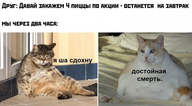 Весёлый полтишок 05.11