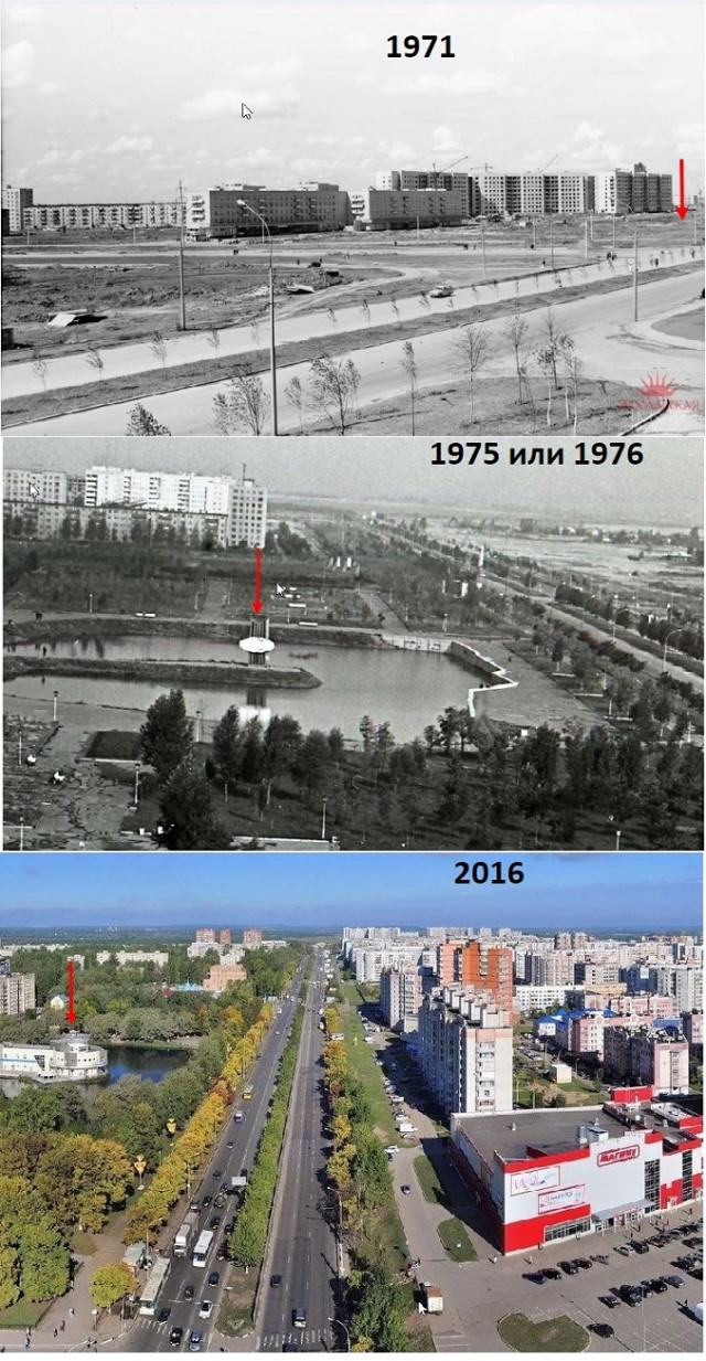 Всяческие картинки 10.12.2021