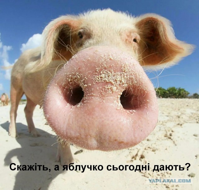 Запишите меня!