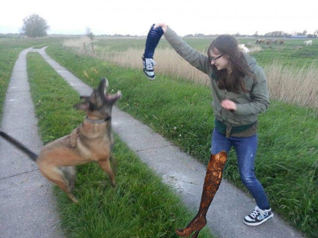 Фотожаба: Девочка с собачкой