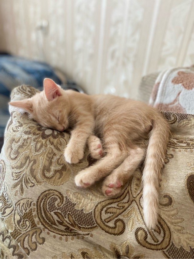 Не могу ждать вторника.