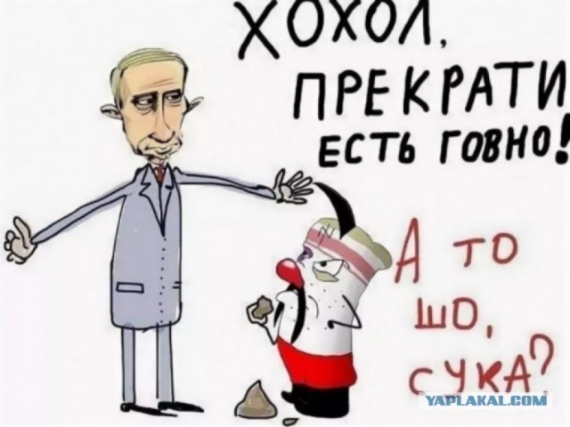 Кадыров попросил Путина дать возможность быстро закончить спецоперацию