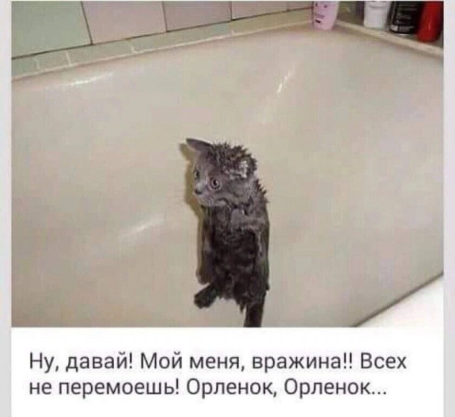 Юмор в картинках и без 27.11.2022