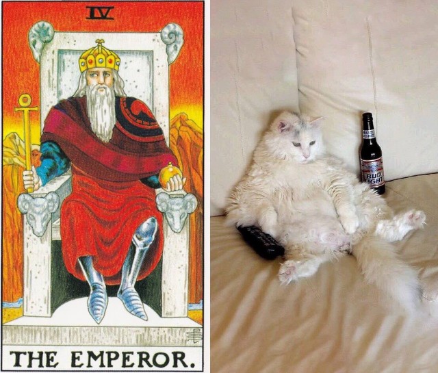 Котаро