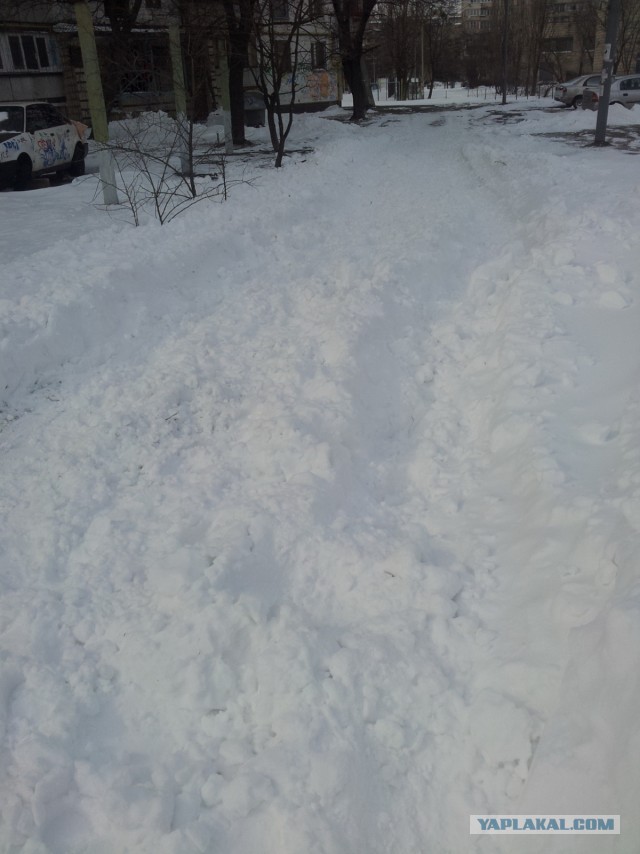 23 марта. Киев. Весна.