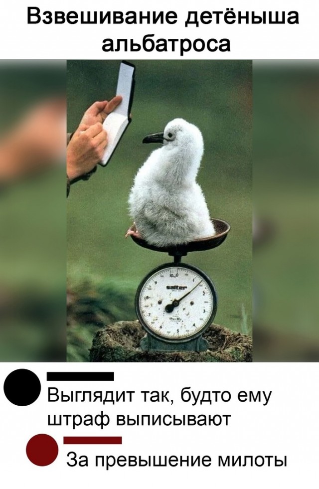Так себе картинки 29.05.23