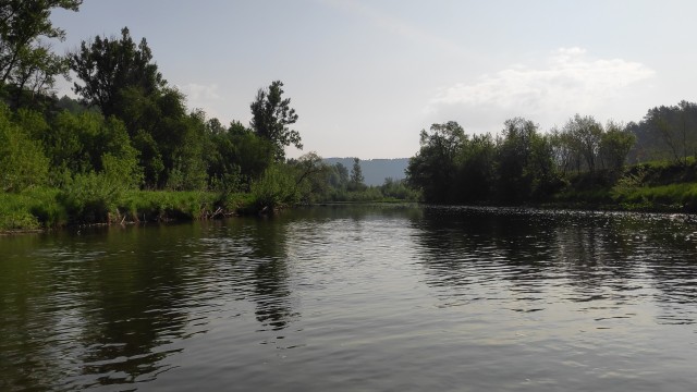 А не половить бы нам  рыбки