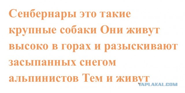 Почему в Черном море не водятся акулы, если в Средиземном их полно?