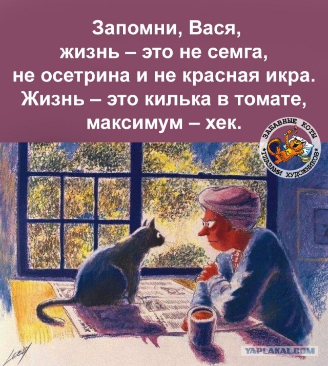 Дохлый женский аргумент: они свято верят, что они нужны мужчинам ради уюта