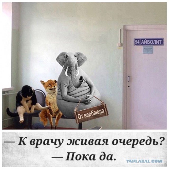Хозяйство у жениха маленькое, жену не найдет!