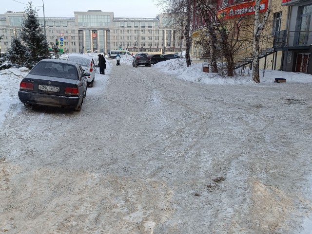 Шакалы в городе. Кровь на снегу.