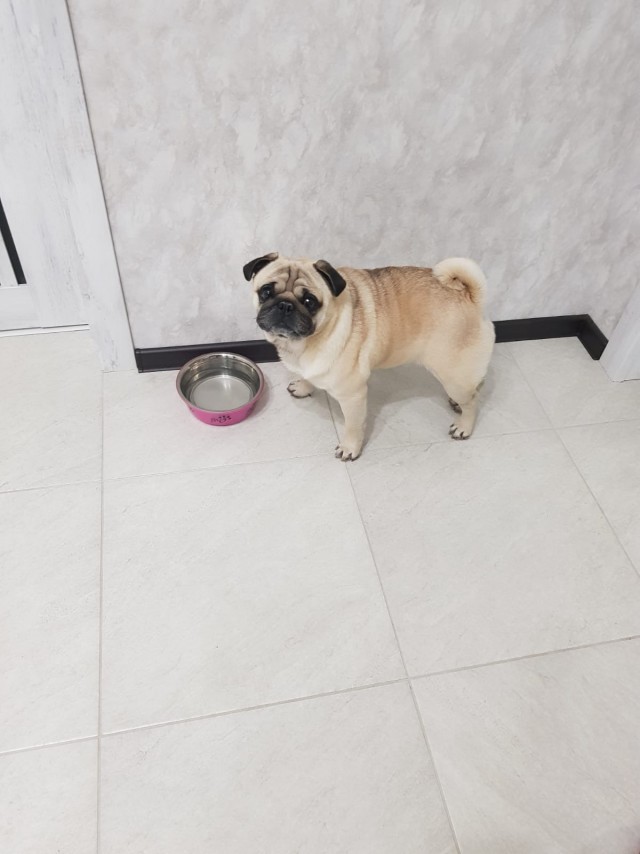 Приёмный
