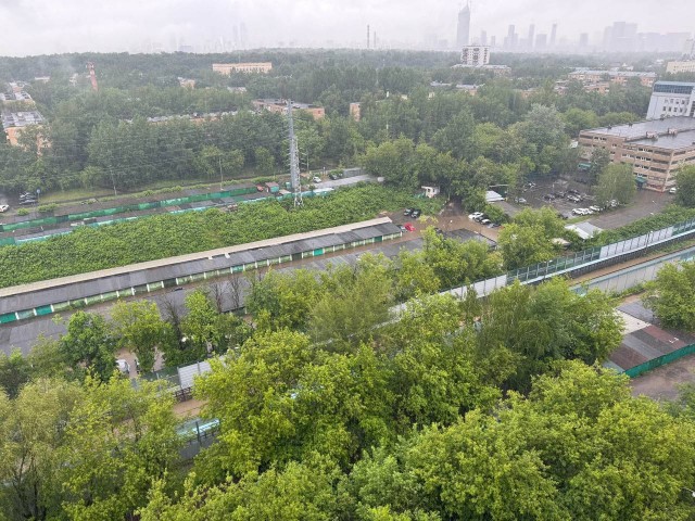 Москву снова затопило. Деревья повалило. В небе молнии