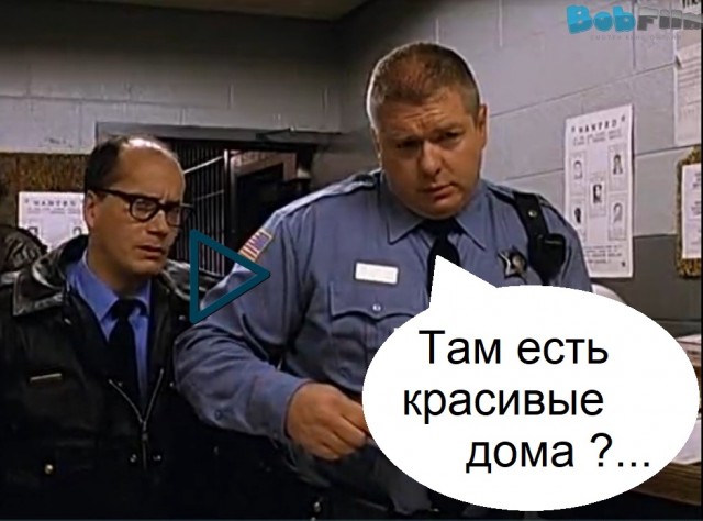 Немного свежих кактусов вам. Дорожные фото-2