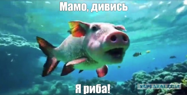 Нейросеть продолжает сходить с ума