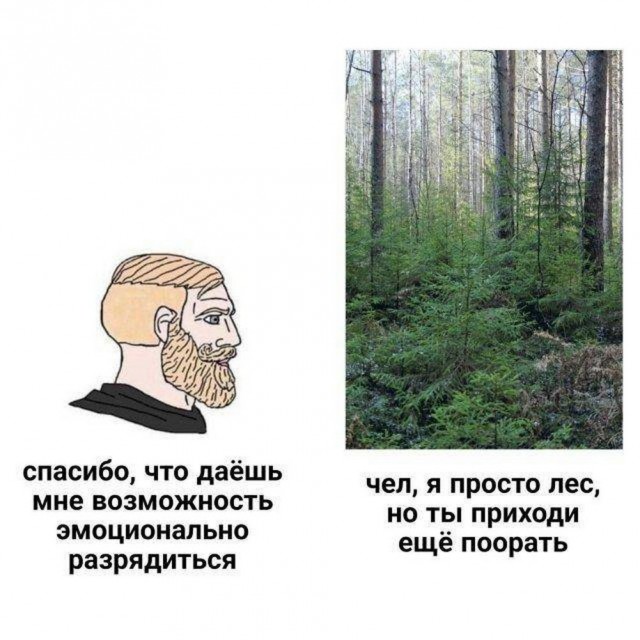 Нуштош 12.02.2025. Тлень разума (s3e6)