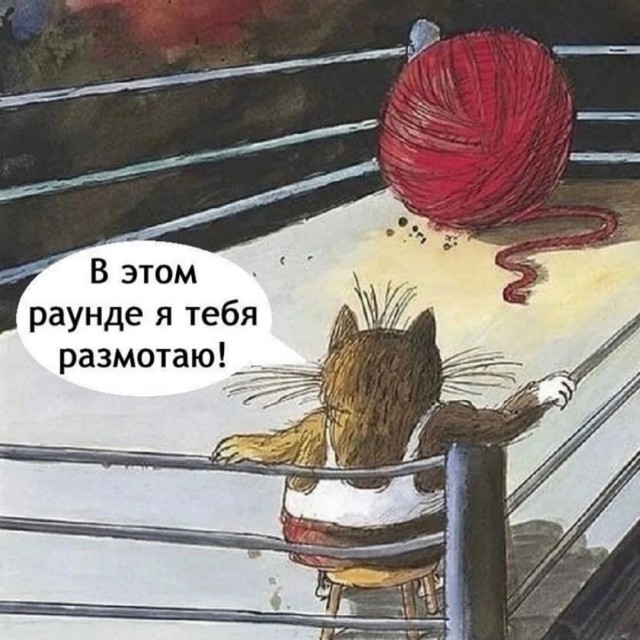 Так себе картинки 25.04.25