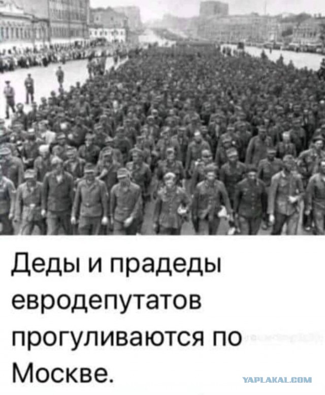 Польский еврей сказал неудобную правду