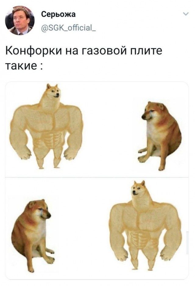 Весёлый полтишок 14.05.25.