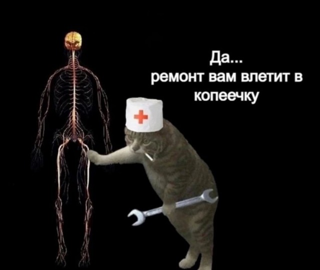 Бесплатнавые баяны