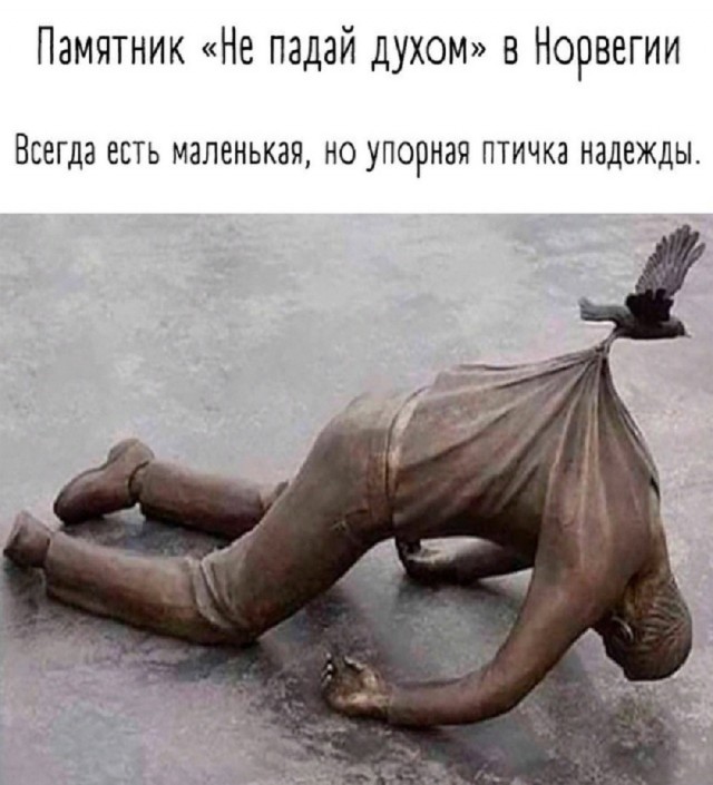 Так себе картинки 10.06.25