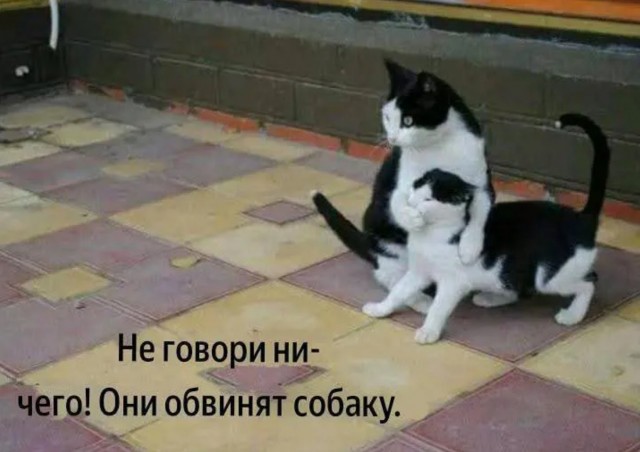Завалялось тут случайно немного забавных картинок