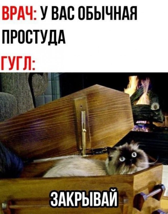 Мемы и картинки