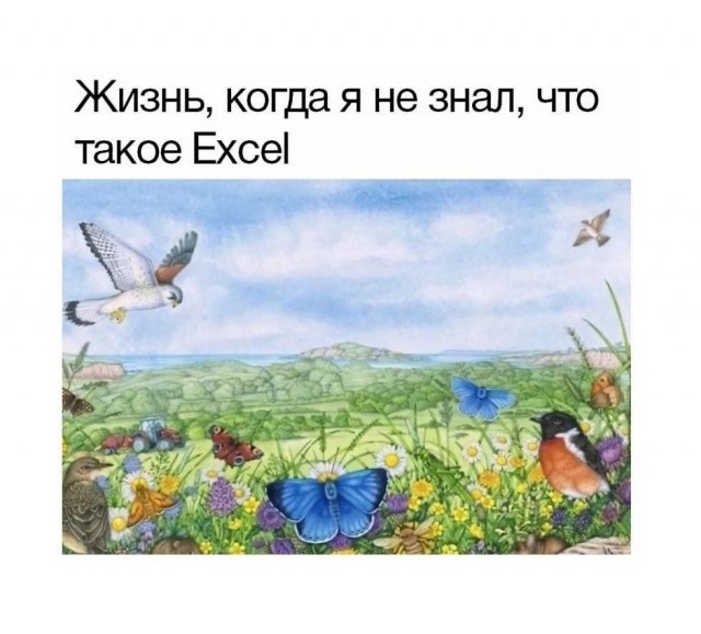 Так себе картинки 28.10.25